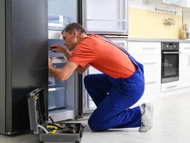 Refrigerator repair technician
