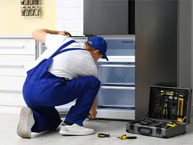 Refrigerator Repair 387 by 290 4